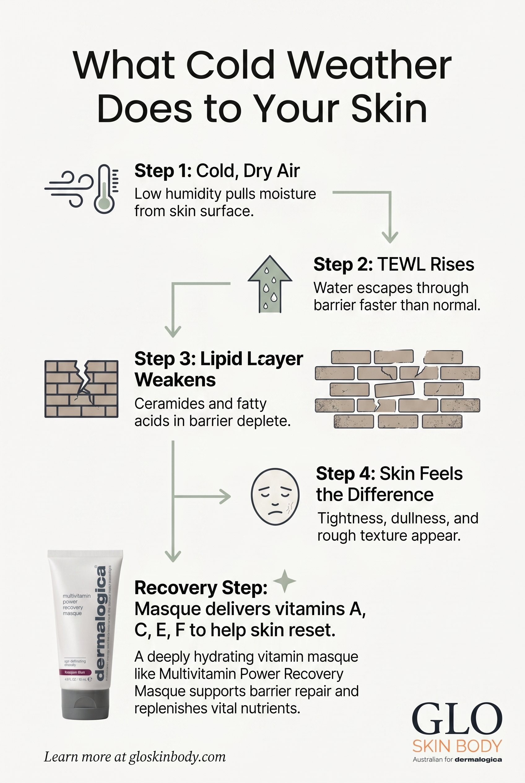 Infographic showing four stages: cold air increases TEWL, lipid layer weakens, skin feels tight and looks dull, masque helps support barrier function and hydration