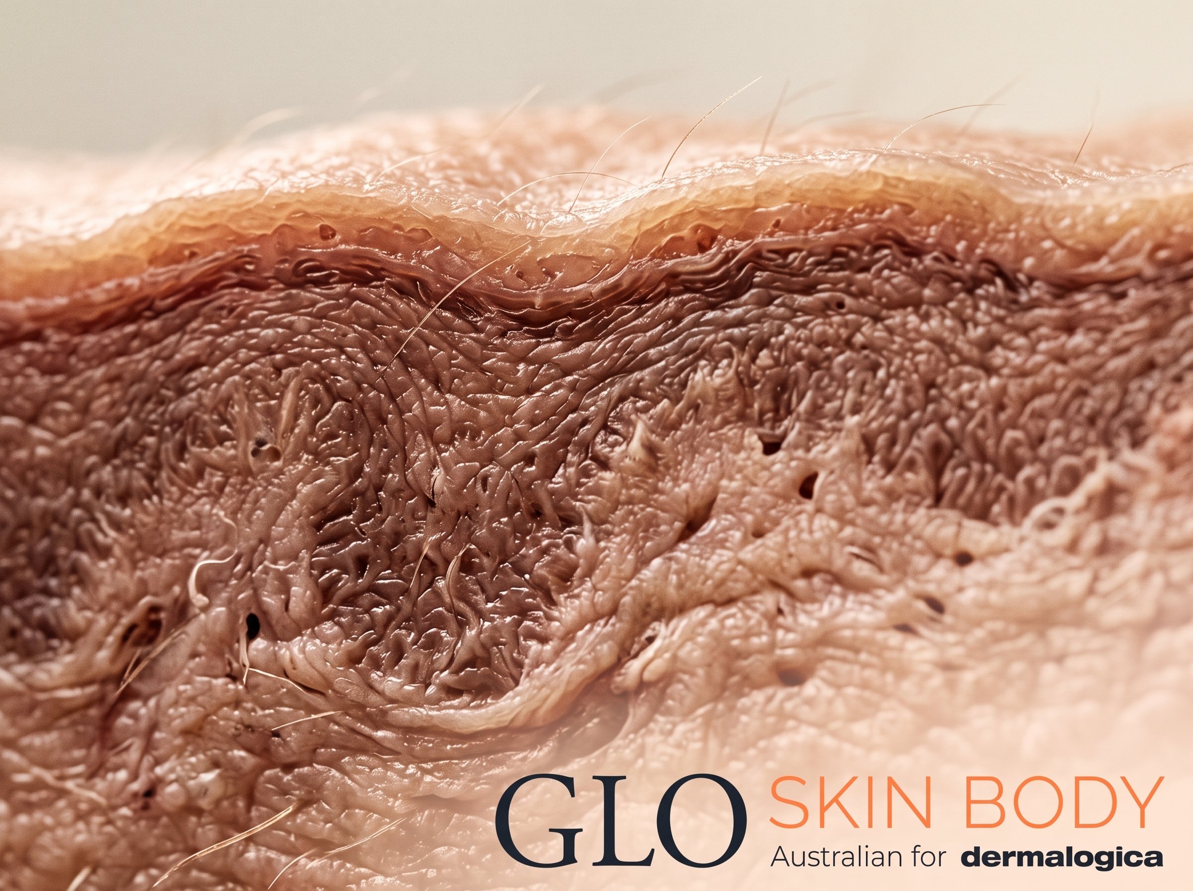 Abstract macro texture representing layered skin structure and dermal density