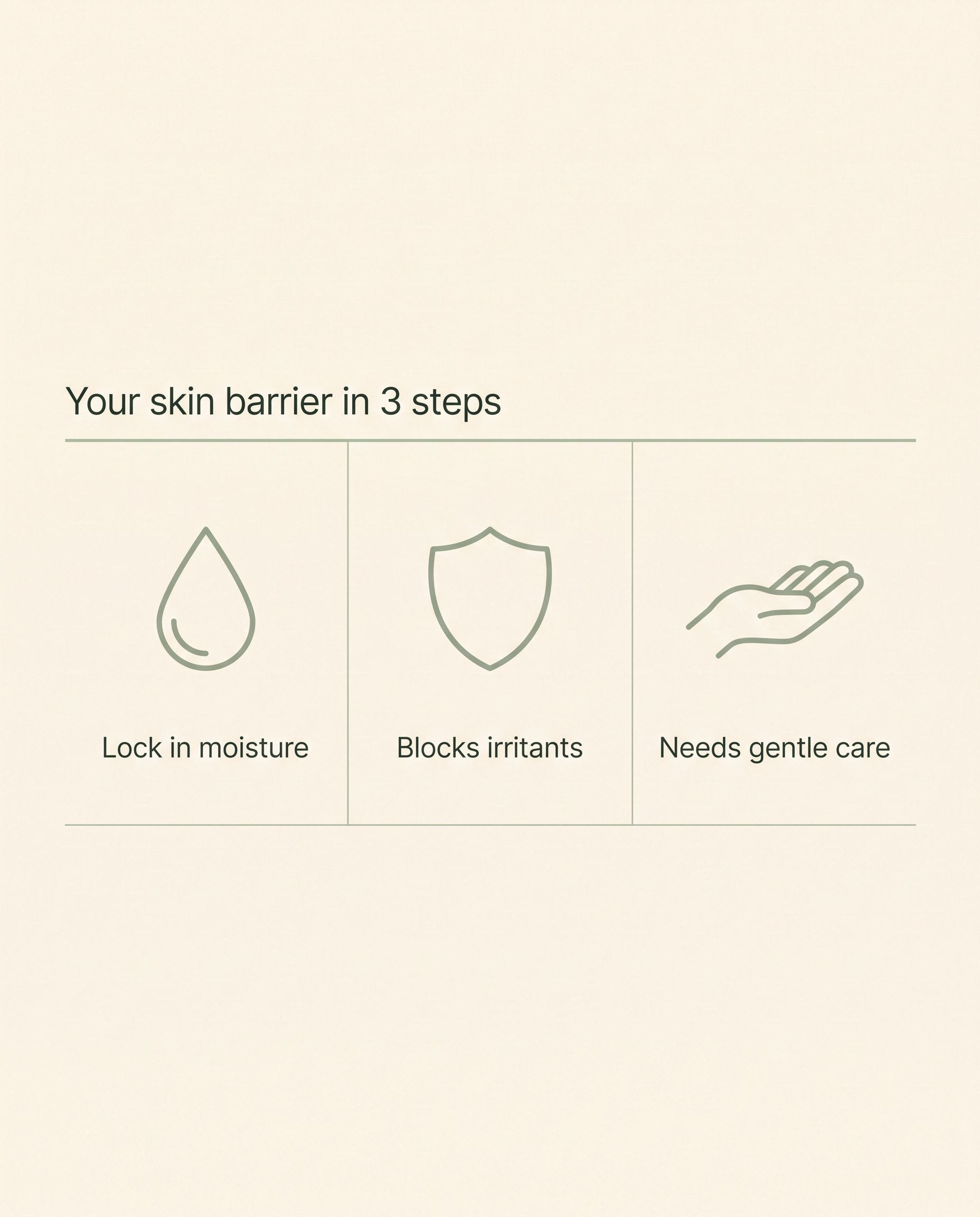 Infographic showing three functions of the skin barrier: locking in moisture, blocking irritants, and needing gentle care