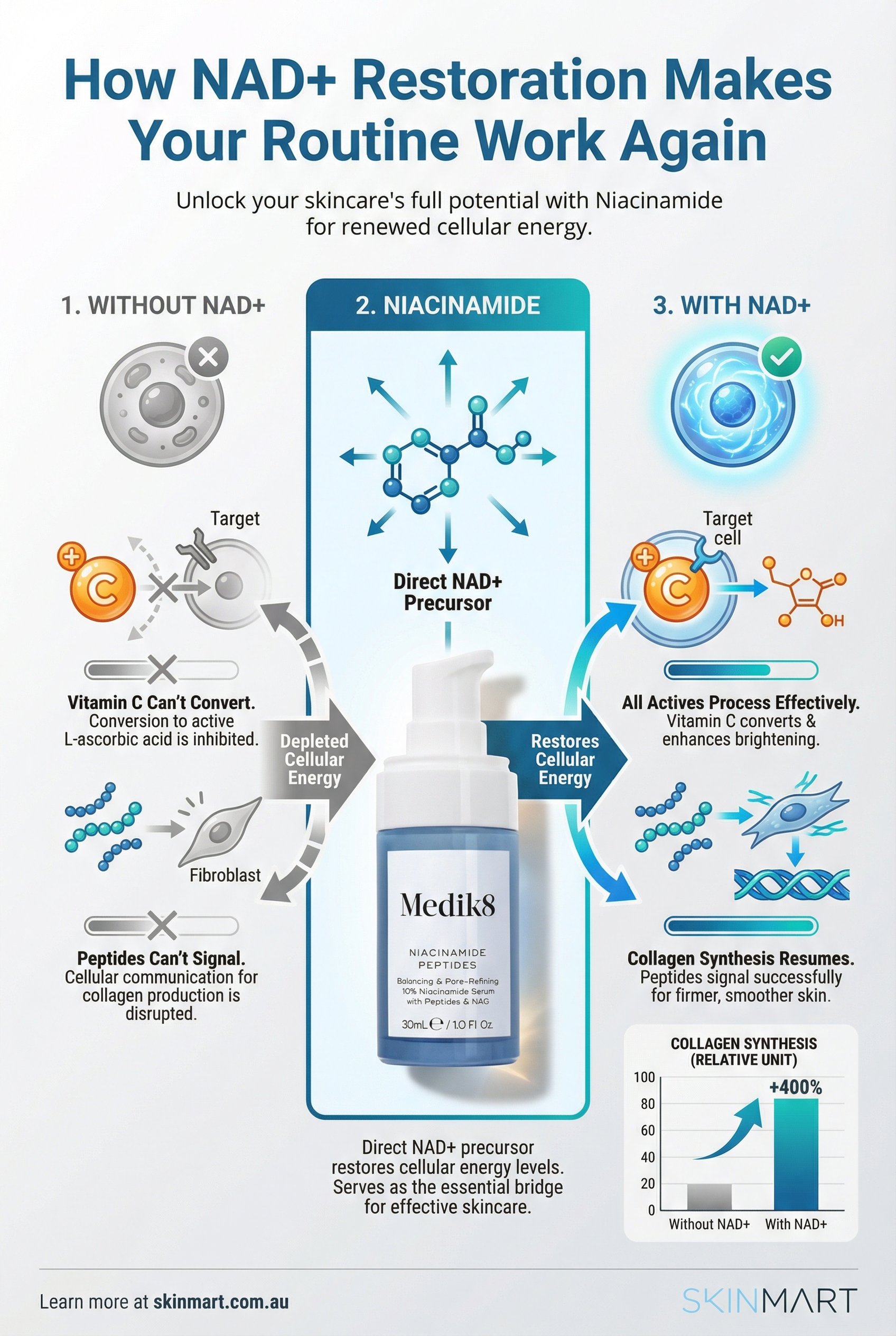 Comparison diagram showing cellular processes blocked in energy-depleted cells versus active in NAD+ restored cells with niacinamide as bridge