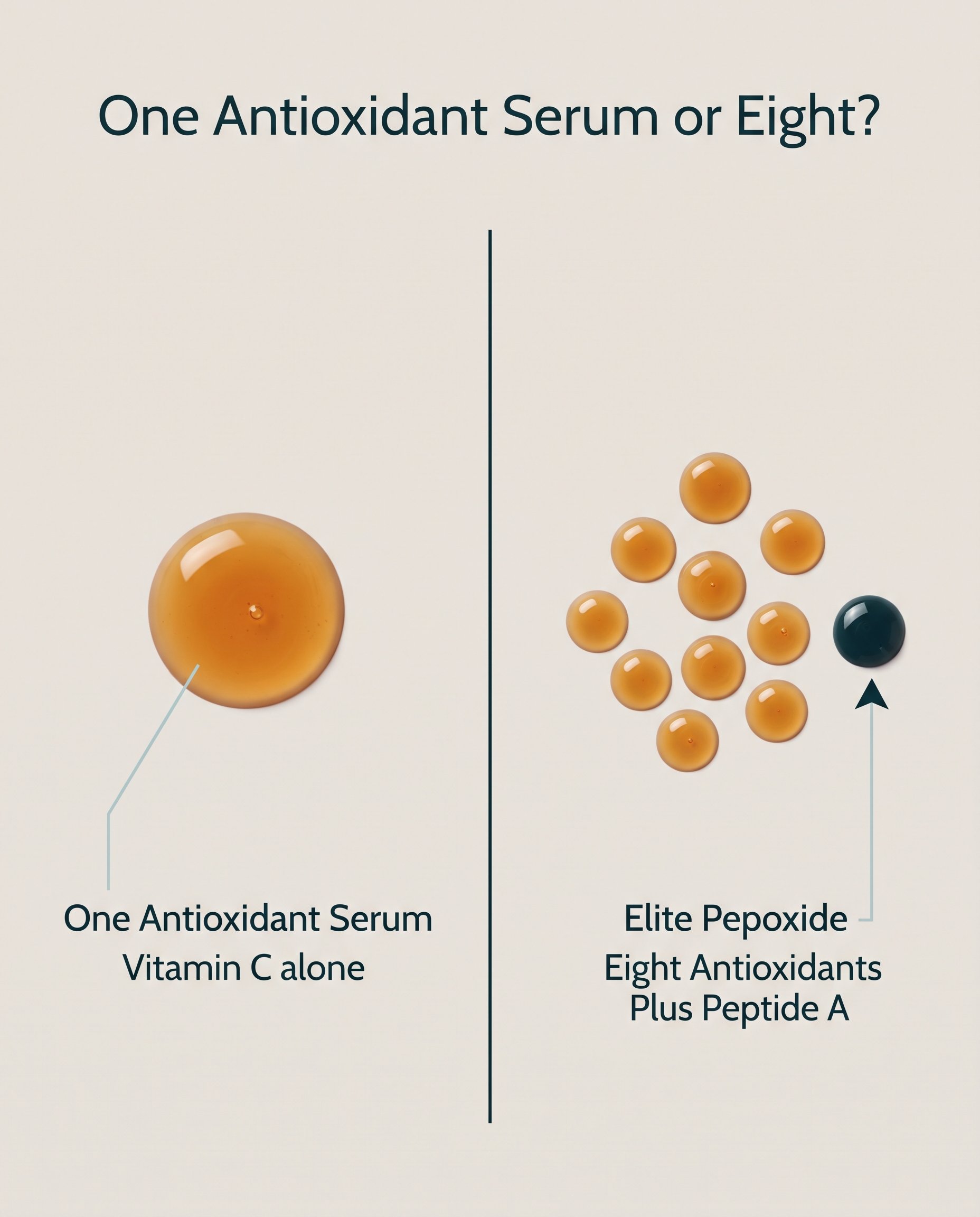 Diagram showing different antioxidants acting at different points across a day