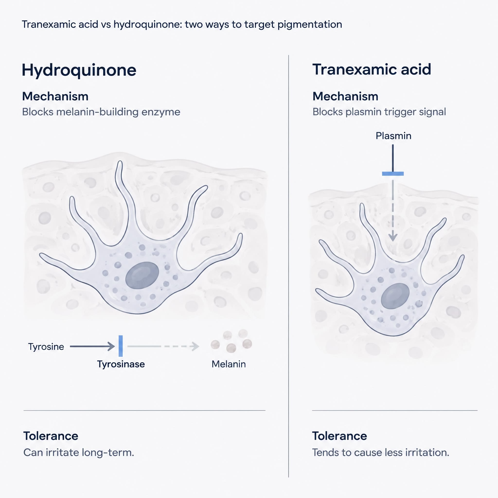 Comparison diagram contrasting hydroquinone's enzyme-blocking action with tranexamic acid's plasmin-blocking action.