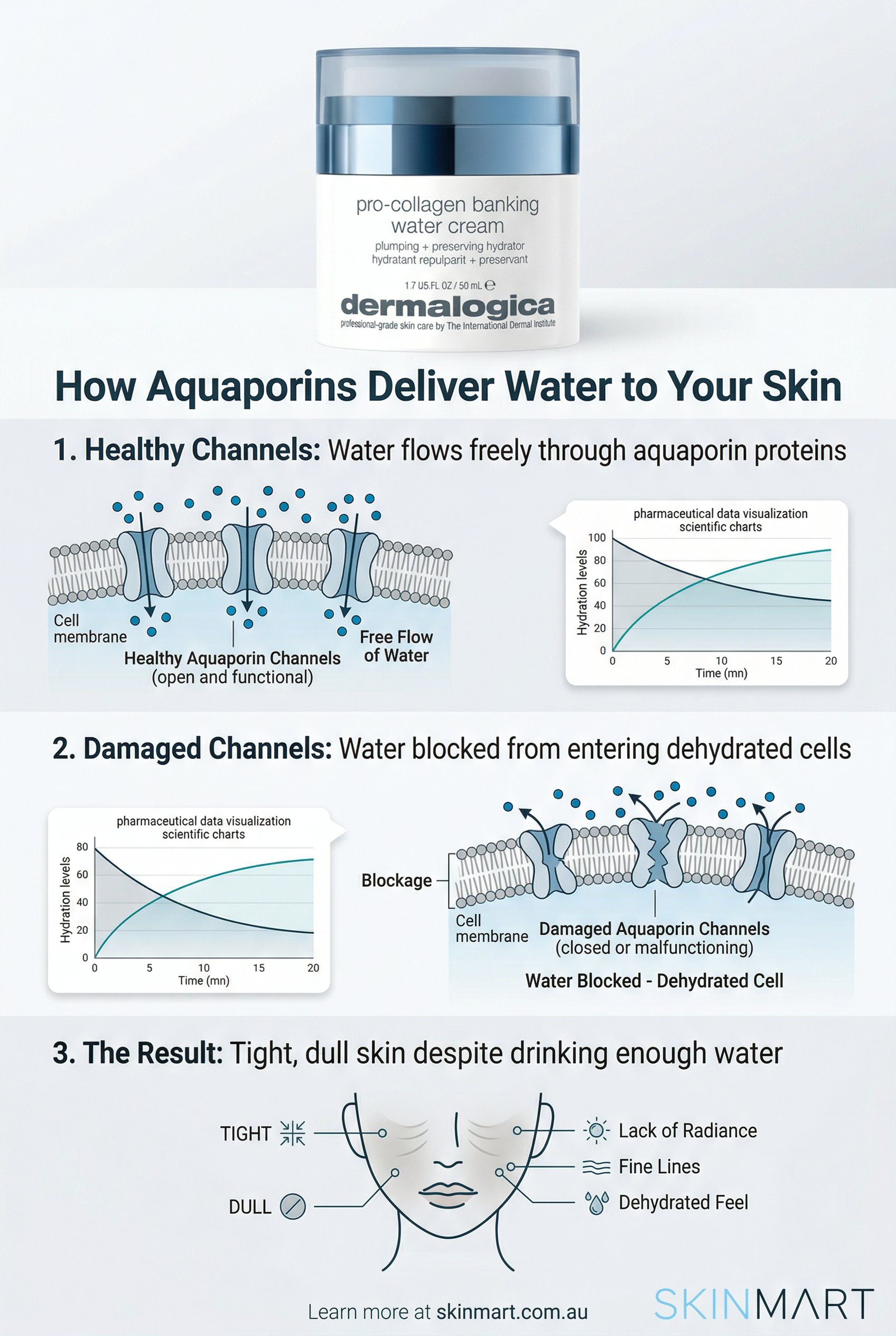 Medical illustration comparing healthy aquaporin channels allowing water transport versus damaged channels blocking water delivery in skin cells