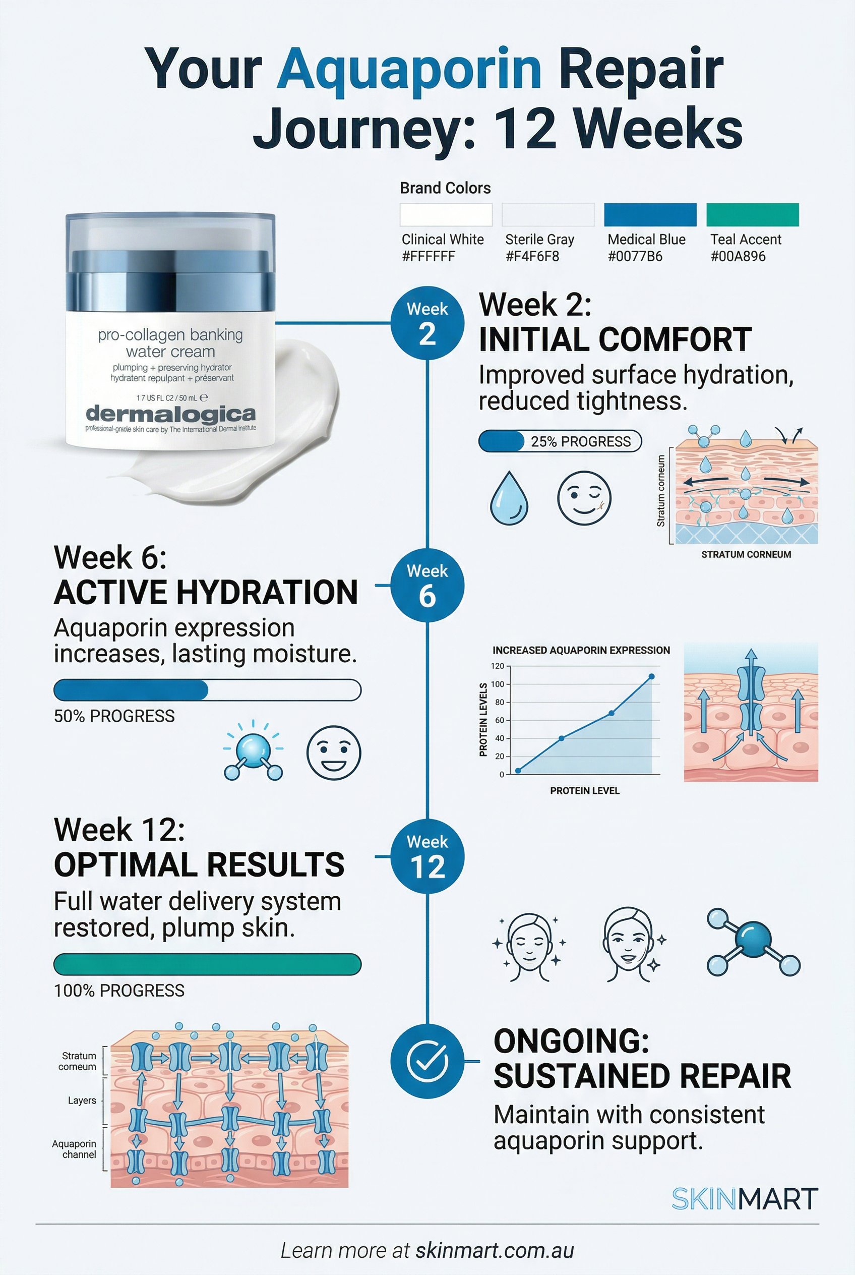 Timeline infographic showing aquaporin repair progression from week 0 to week 12 with improvement milestones