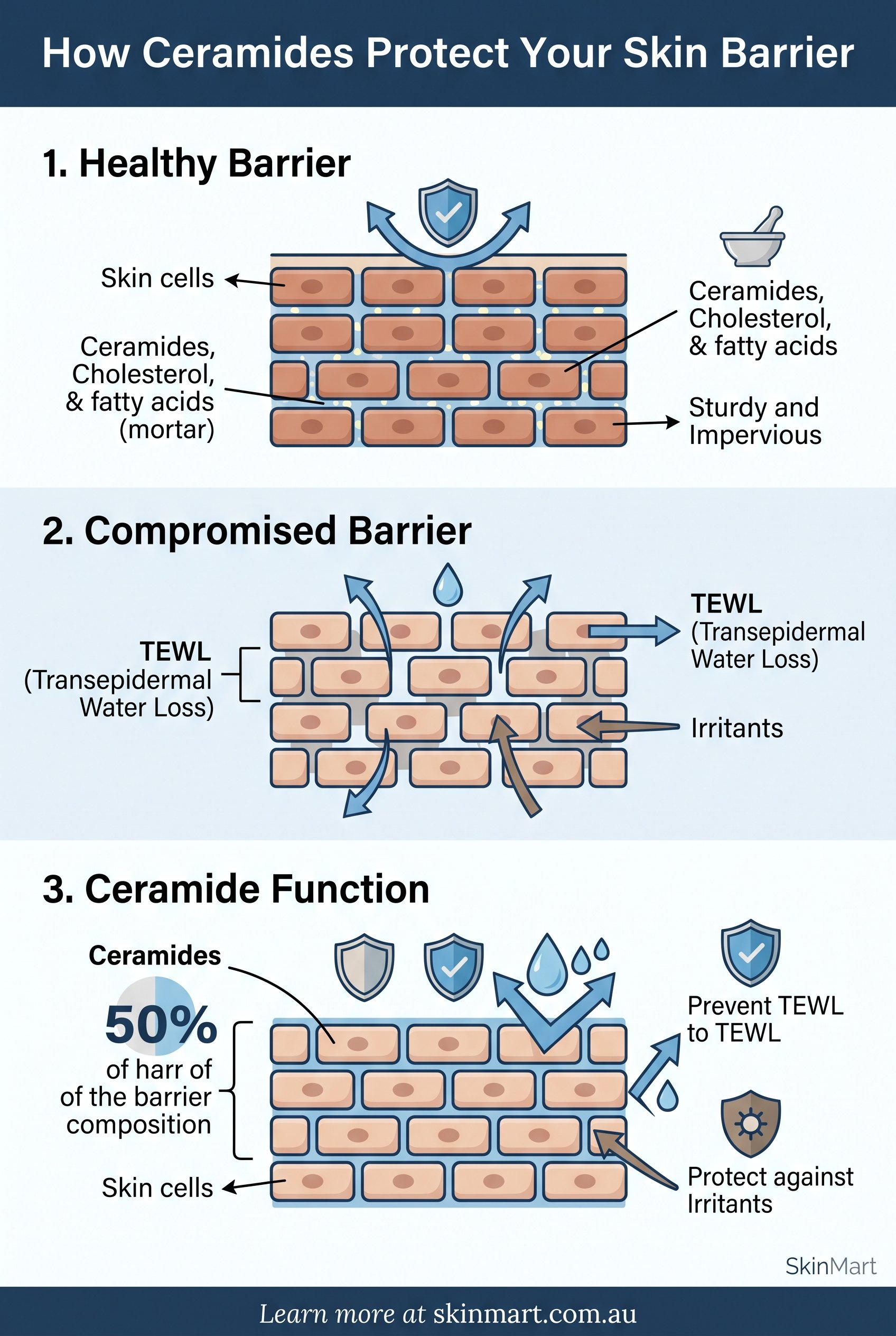 Infographic explaining key concepts