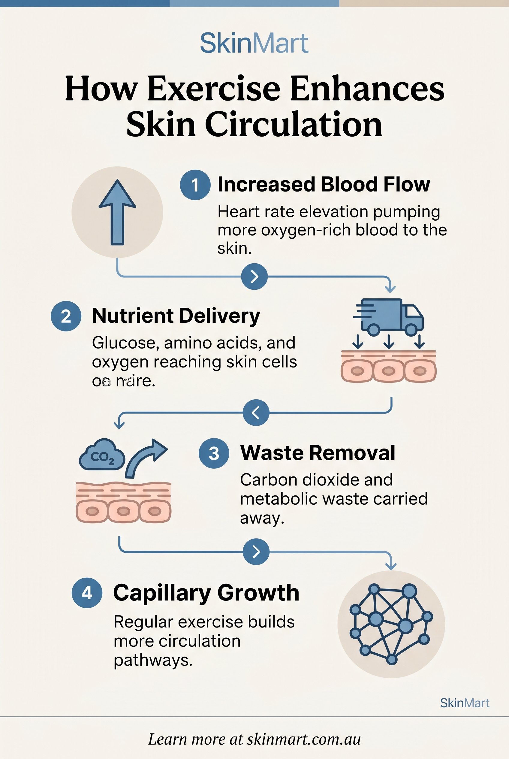 Diagram showing how exercise increases blood flow through skin layers, delivering oxygen and nutrients while removing waste products