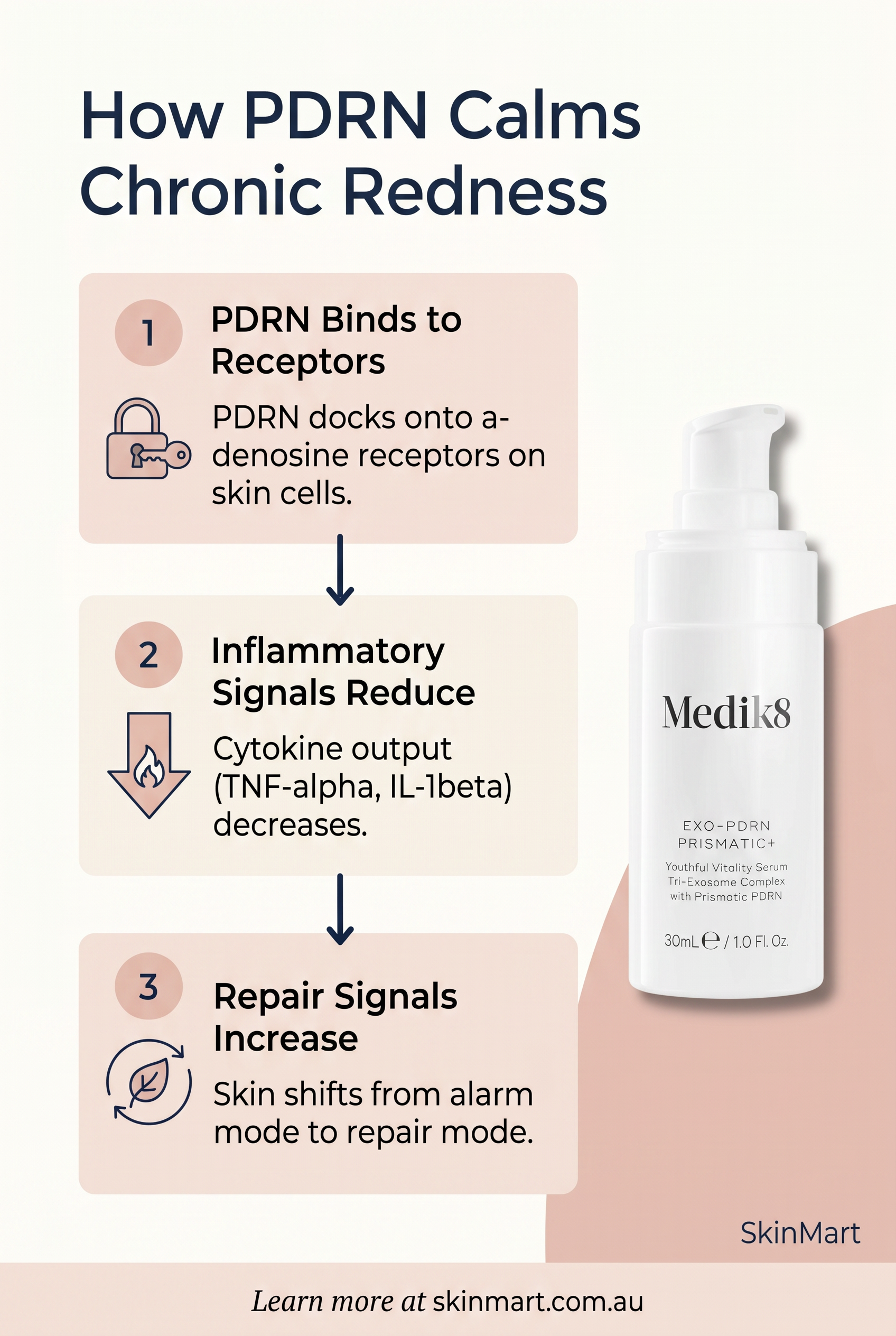 Process diagram showing PDRN binding to adenosine receptors, reducing cytokine production, and supporting skin repair in three steps