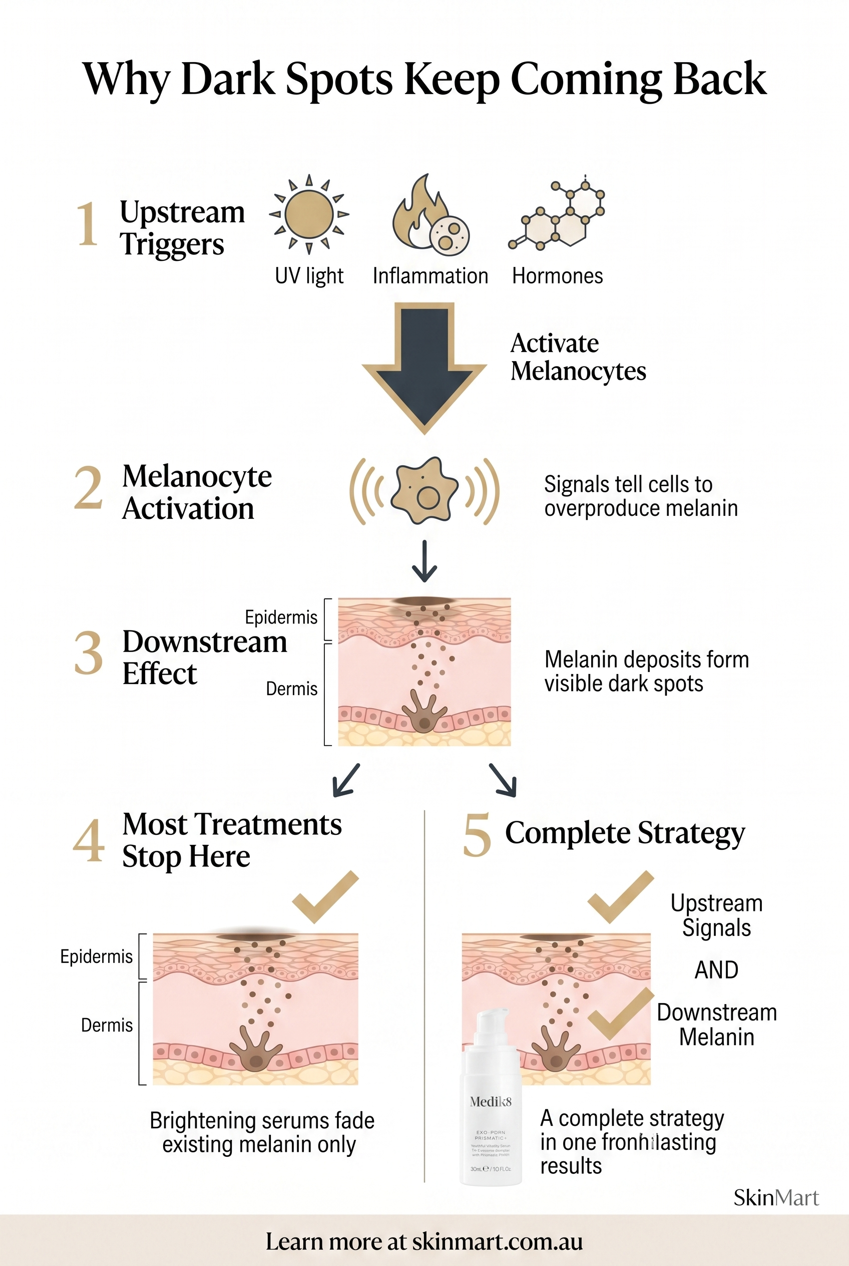 Infographic showing upstream pigmentation triggers including UV, inflammation and hormones leading to melanocyte activation, then downstream melanin formation, with treatment intervention points labelled at each stage