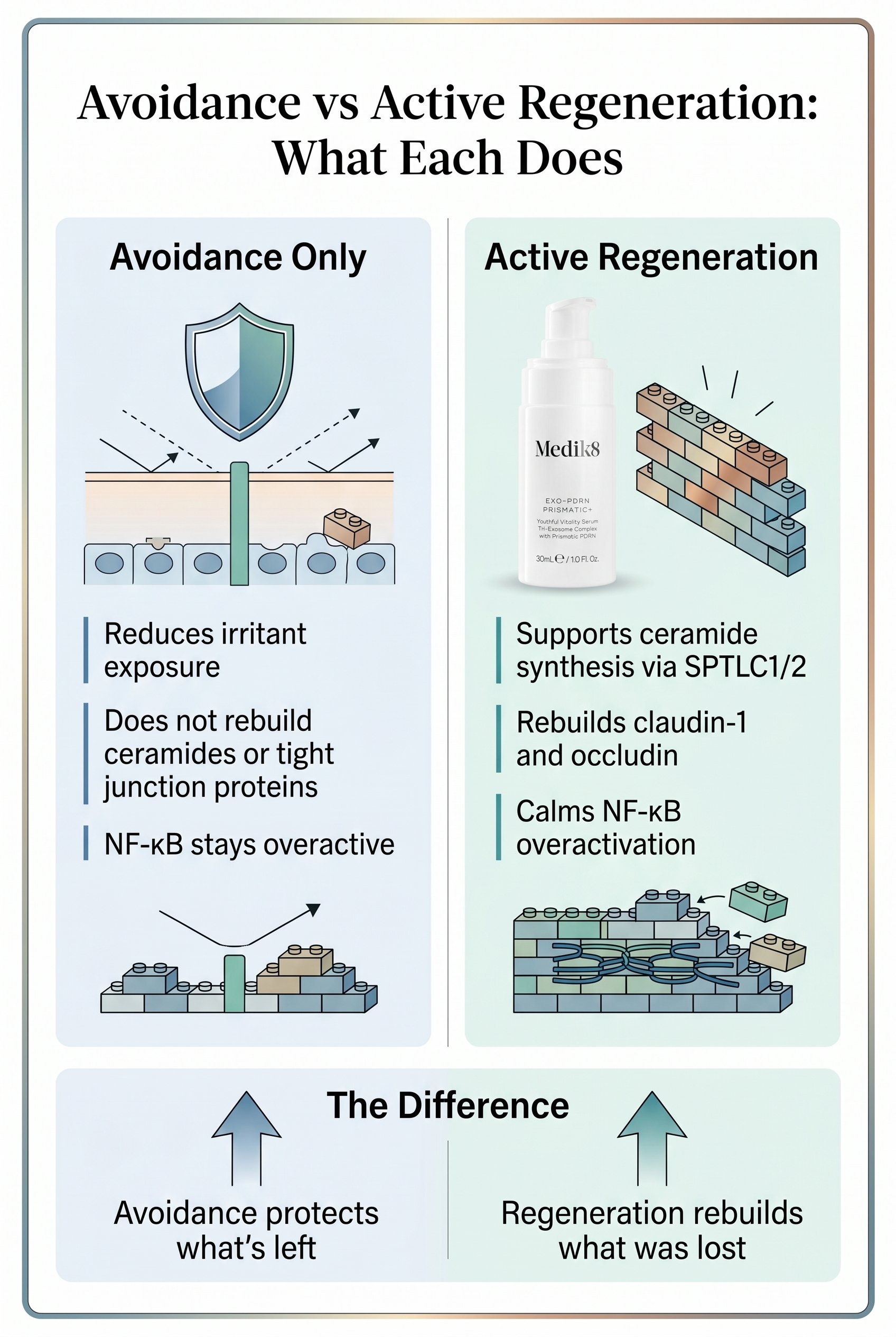Two-column comparison infographic. Left column titled Avoidance Only shows reduced irritant exposure but ongoing barrier weakness and NF-κB overactivation. Right column titled Active Regeneration shows ceramide synthesis, tight junction protein rebuild, and NF-κB calming.