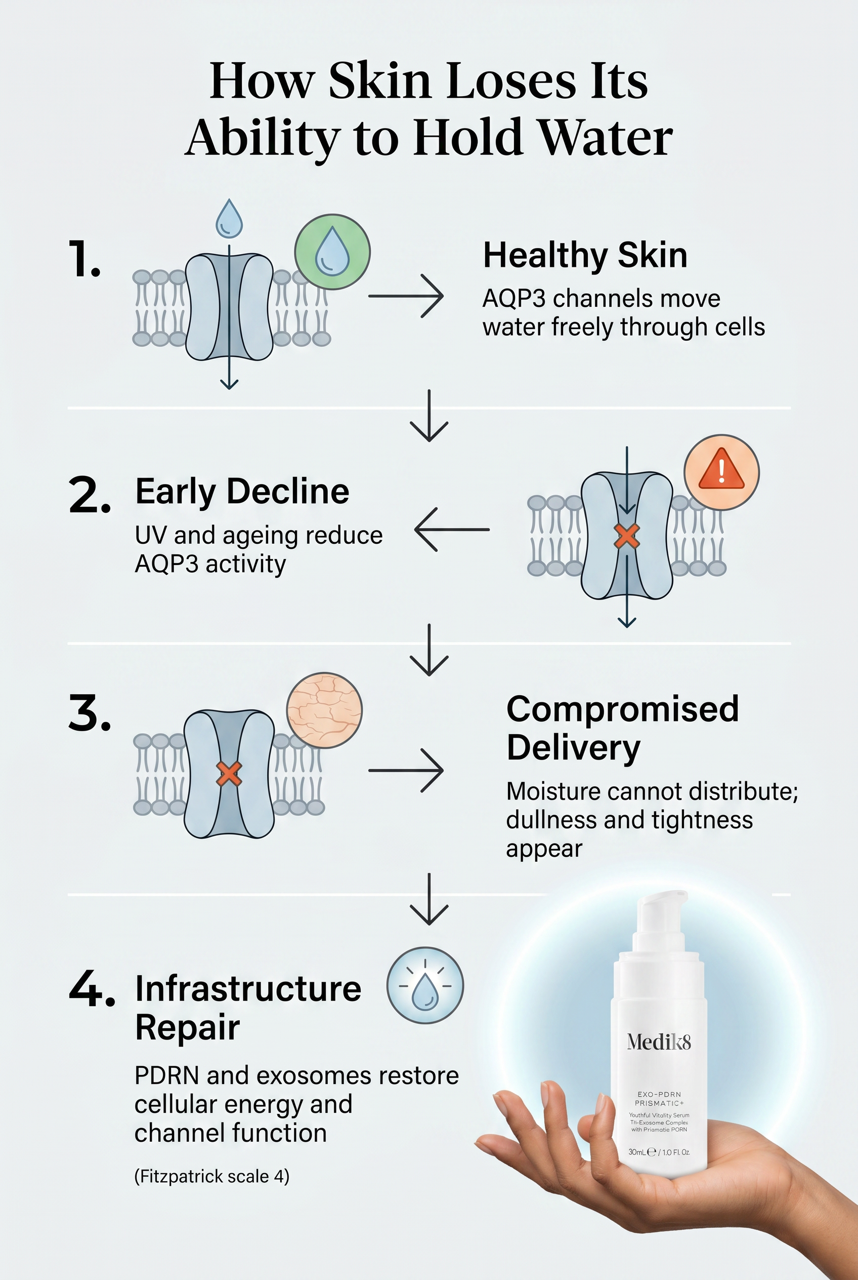 Three-stage diagram showing aquaporin-3 water channel function in healthy skin, early decline, and compromised hydration delivery with descriptions of visible skin changes at each stage