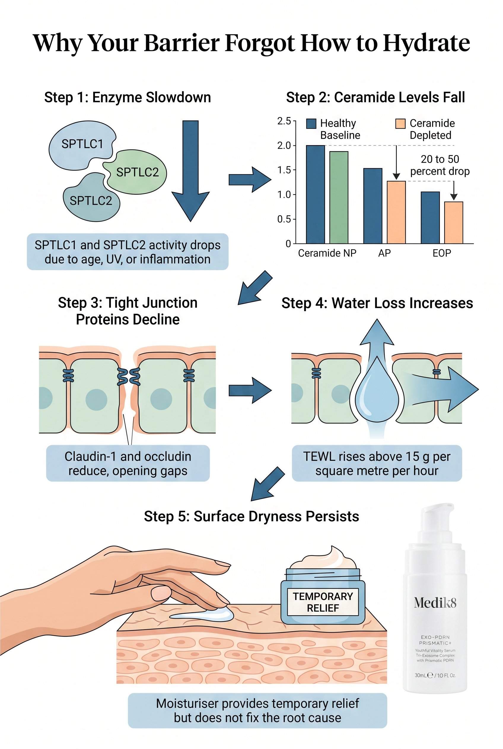 Infographic showing the ceramide synthesis pathway from SPTLC1 and SPTLC2 enzyme activity through to barrier water loss, with disruption points labelled at each stage