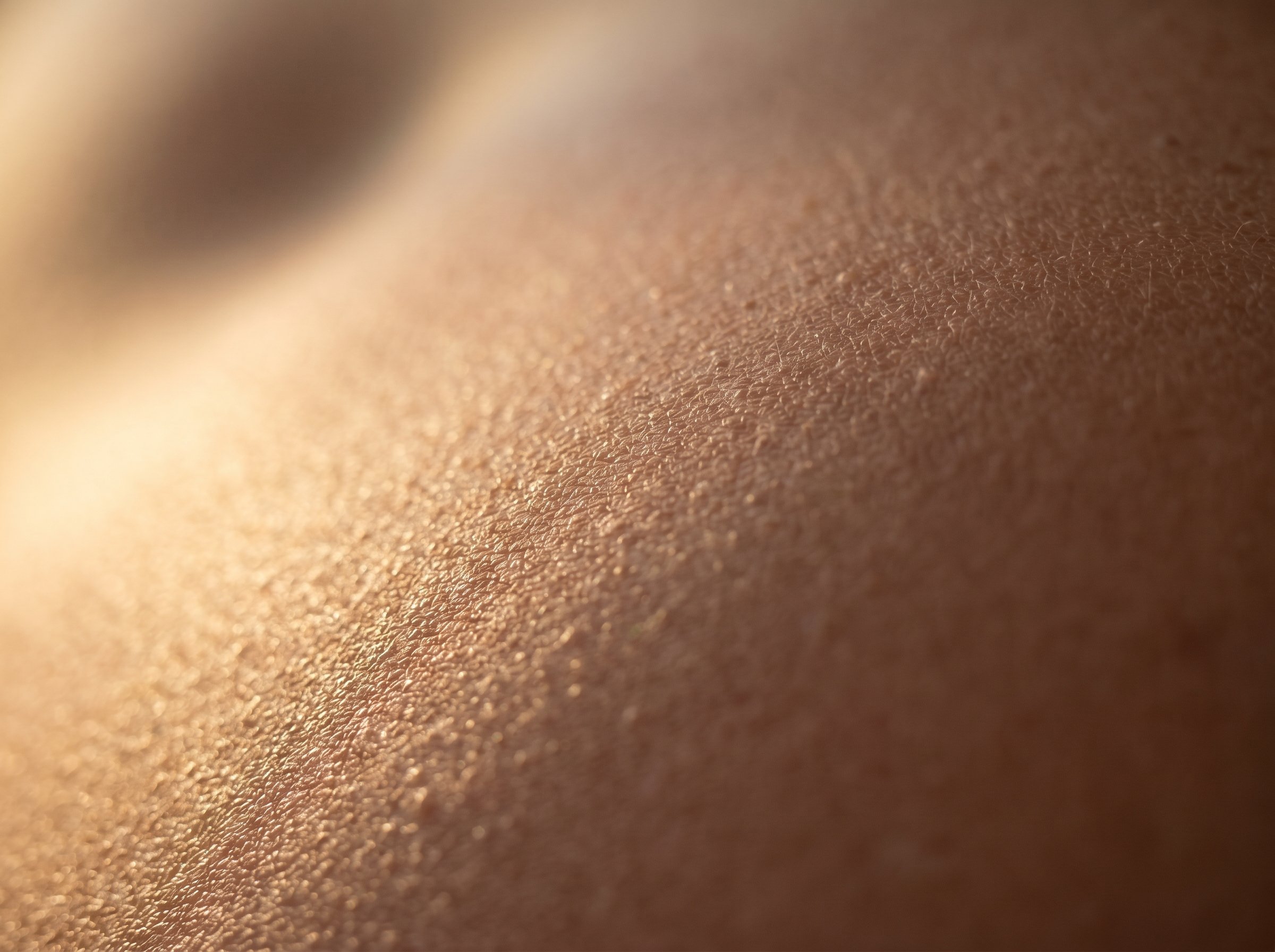 Extreme close-up macro photograph of skin surface texture showing luminous, healthy appearance with fine lines visible under warm side lighting