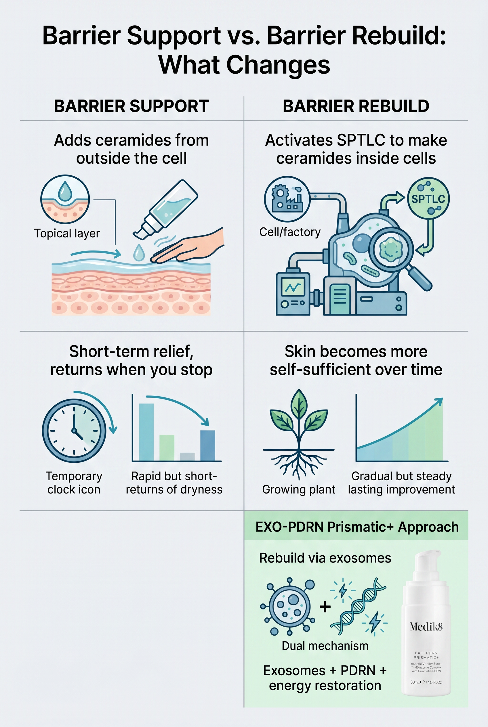 Infographic comparing barrier support and barrier rebuild. Barrier support adds ceramides topically for short-term relief. Barrier rebuild activates SPTLC enzymes to restore ceramide production, with longer-lasting results that continue after use.