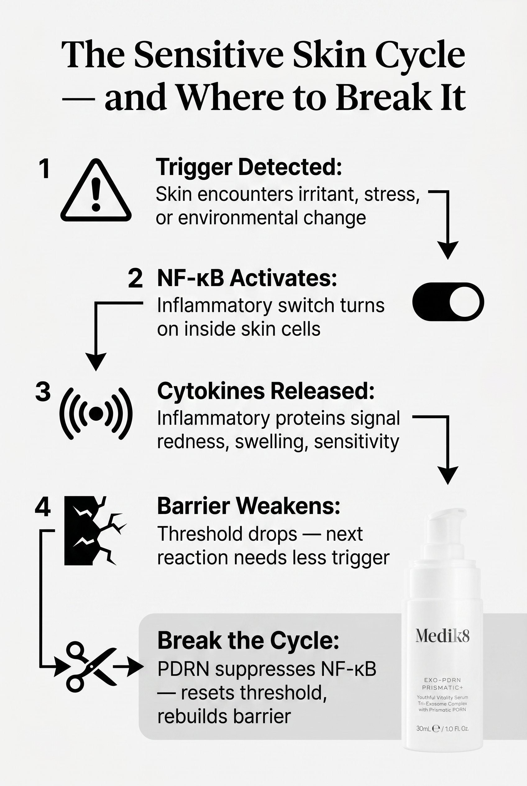 Circular process diagram showing the four-stage NF-κB inflammatory cycle in sensitive skin and where active suppression breaks the loop