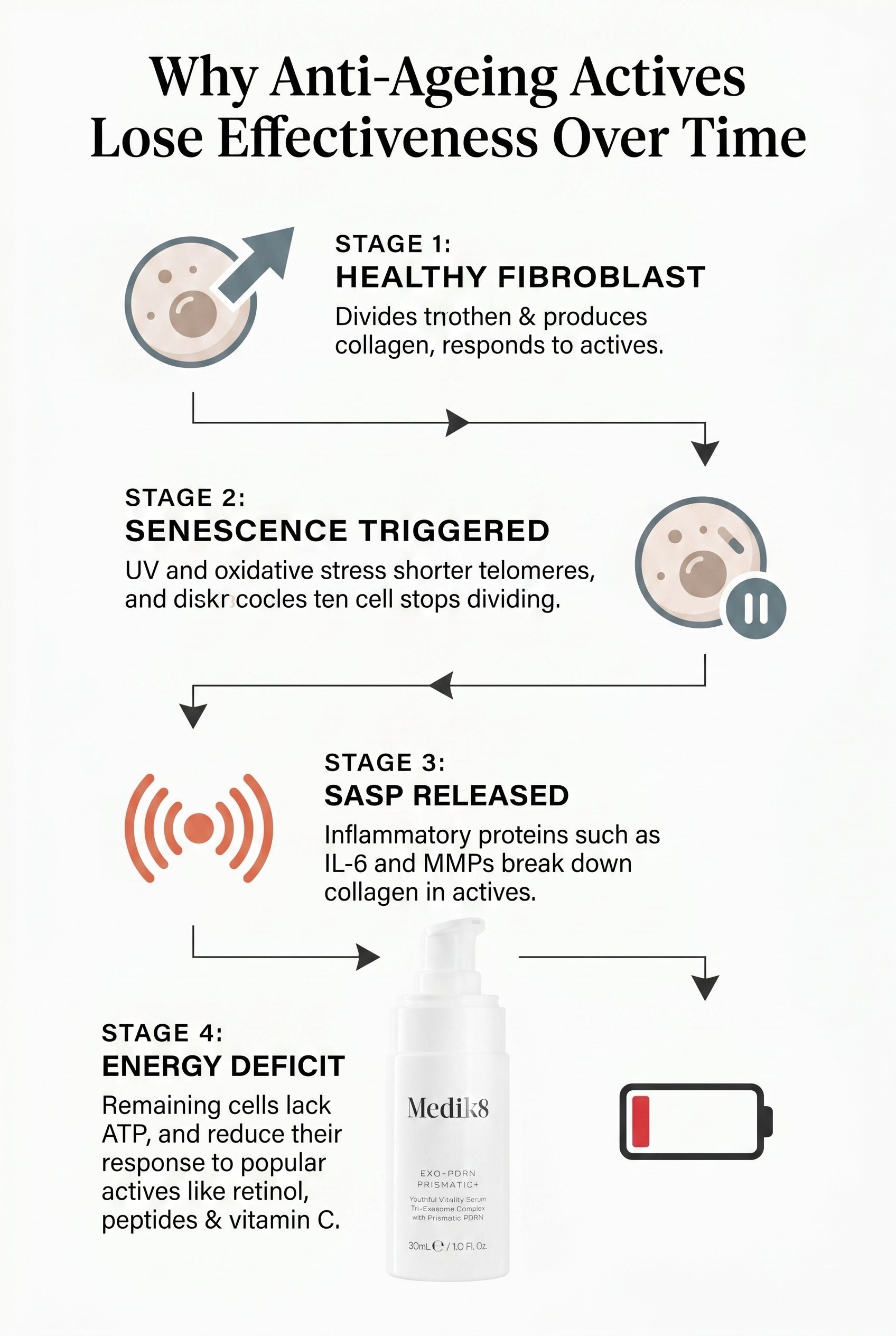 Four-stage process diagram showing healthy fibroblast, senescent cell formation, SASP inflammatory release, and reduced response to anti-ageing actives, with icons and short labels at each stage