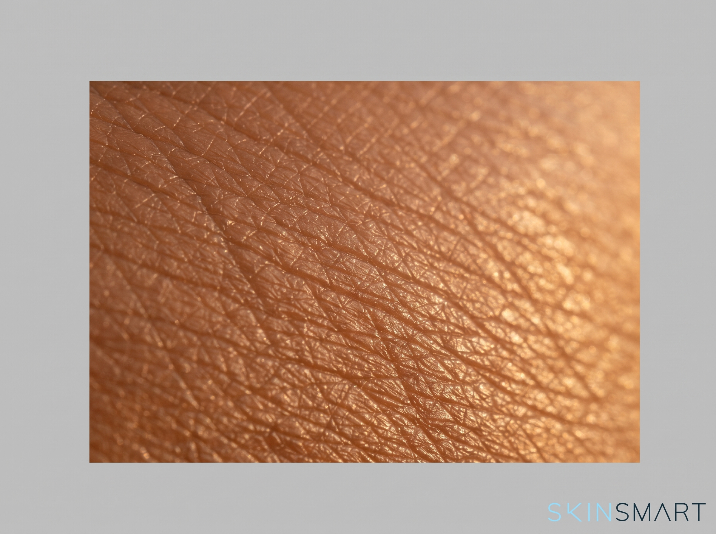 Macro conceptual texture representing the skin's outer barrier layer and tightly packed cells
