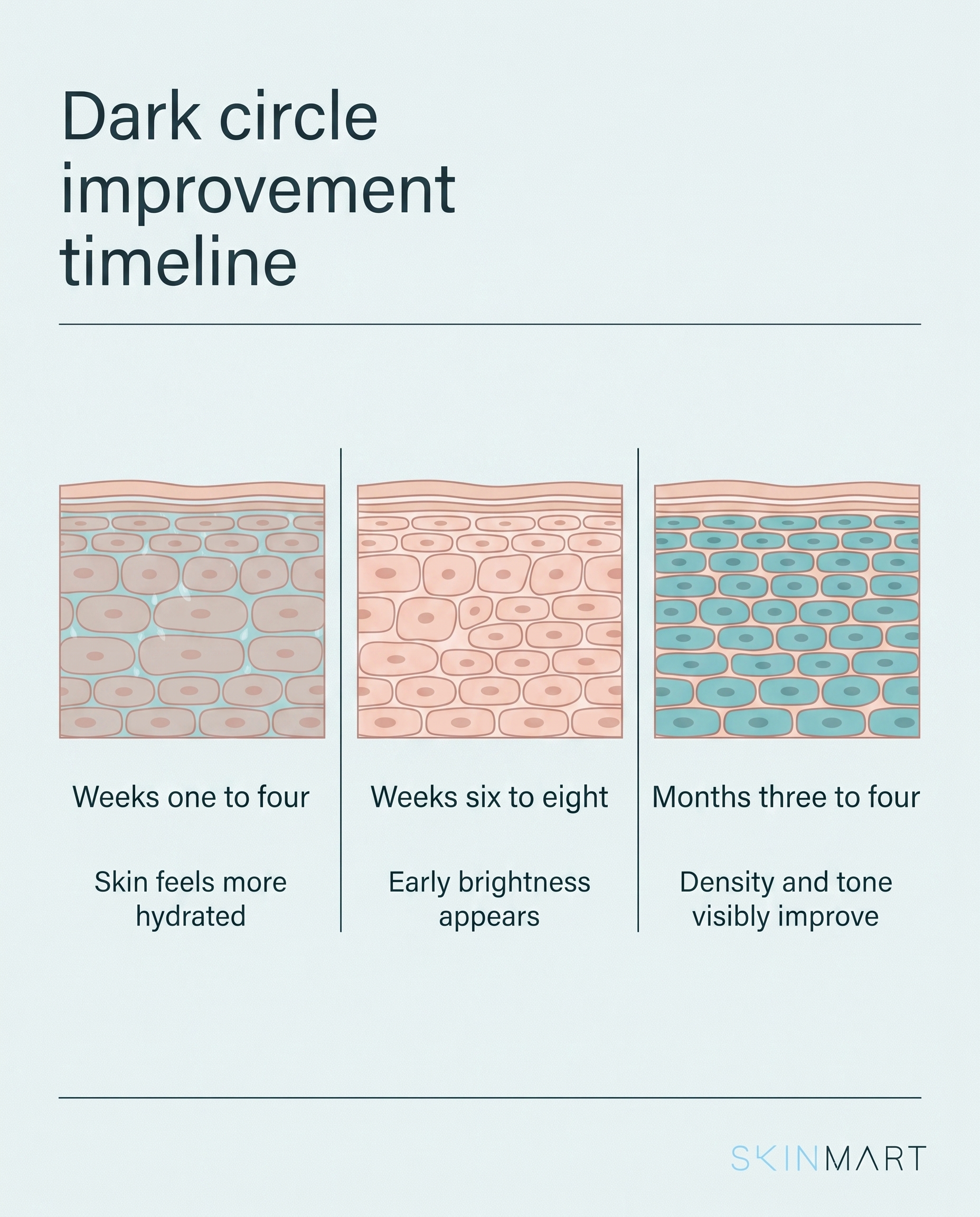 Timeline infographic showing realistic stages of dark circle improvement over weeks and months of eye serum use